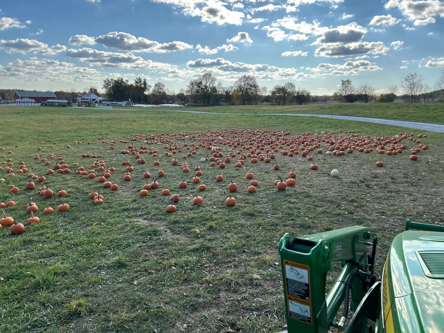 Pumpkins For Sale