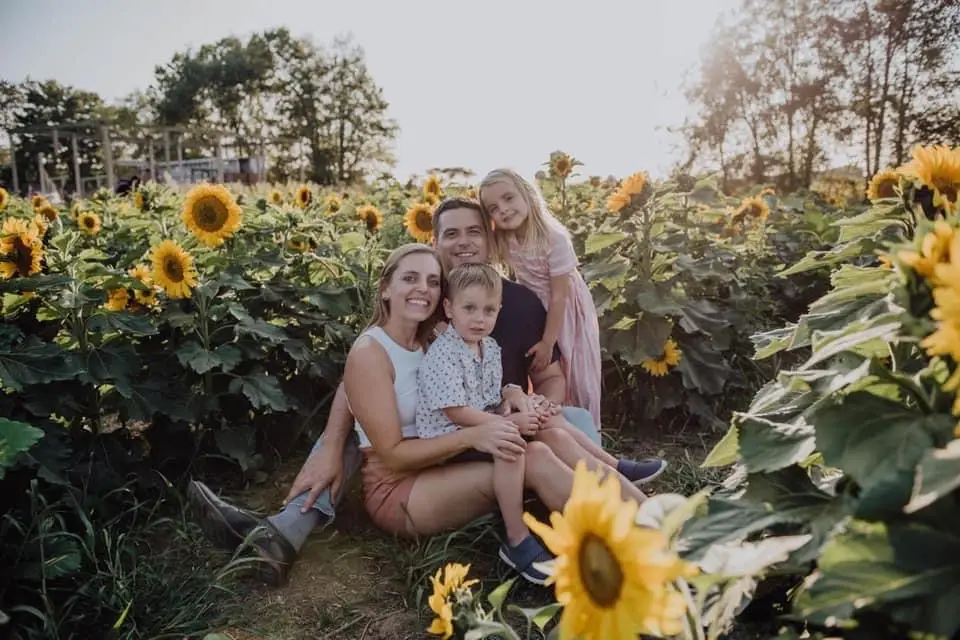 Sunflower And Zinnia Fields