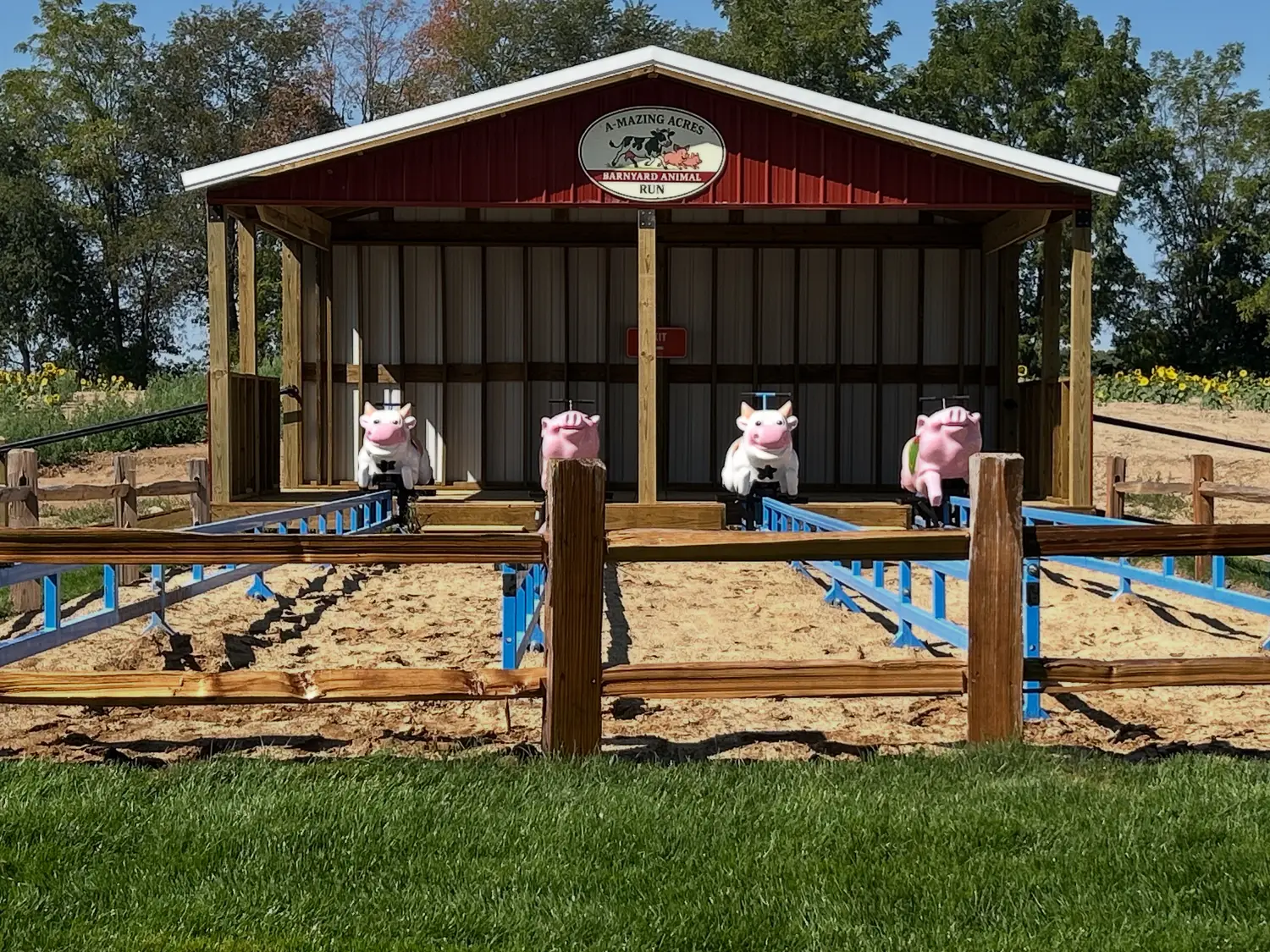 Barnyard Animal Run