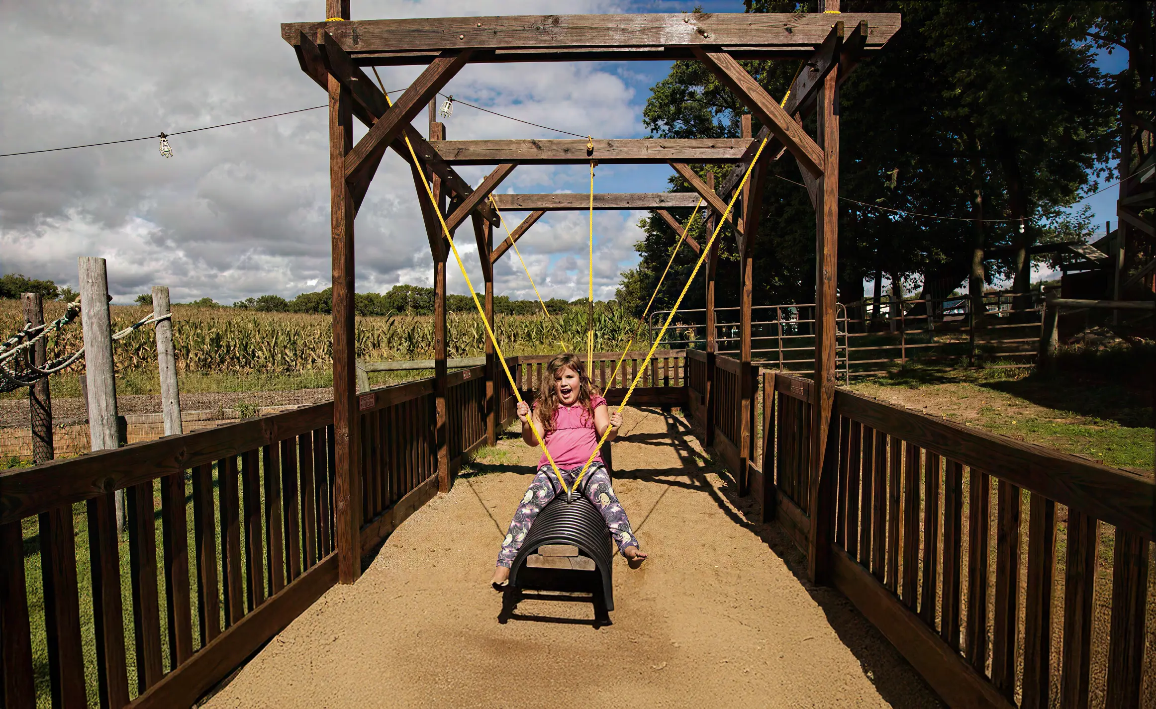Farm swing