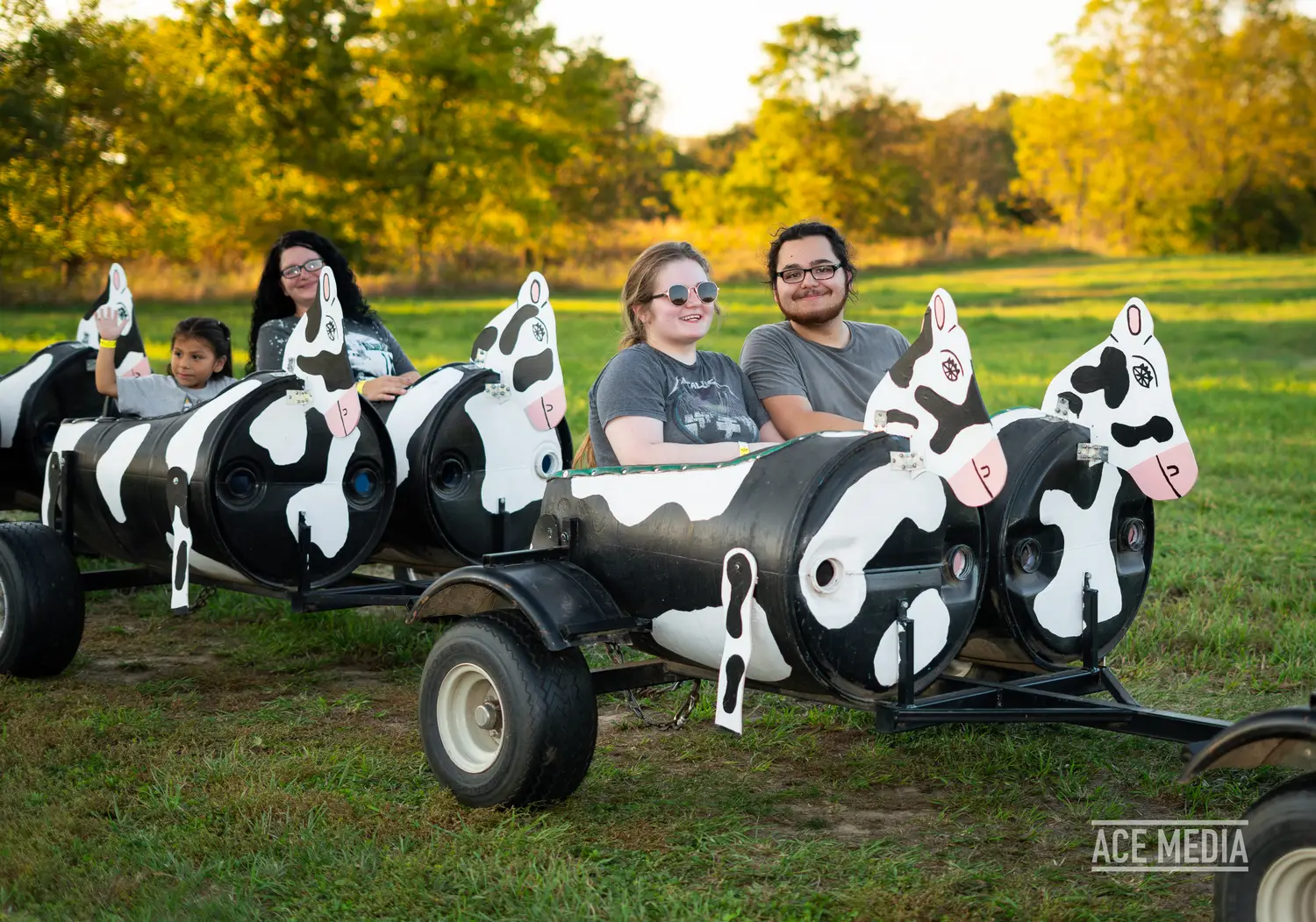 Cow Train