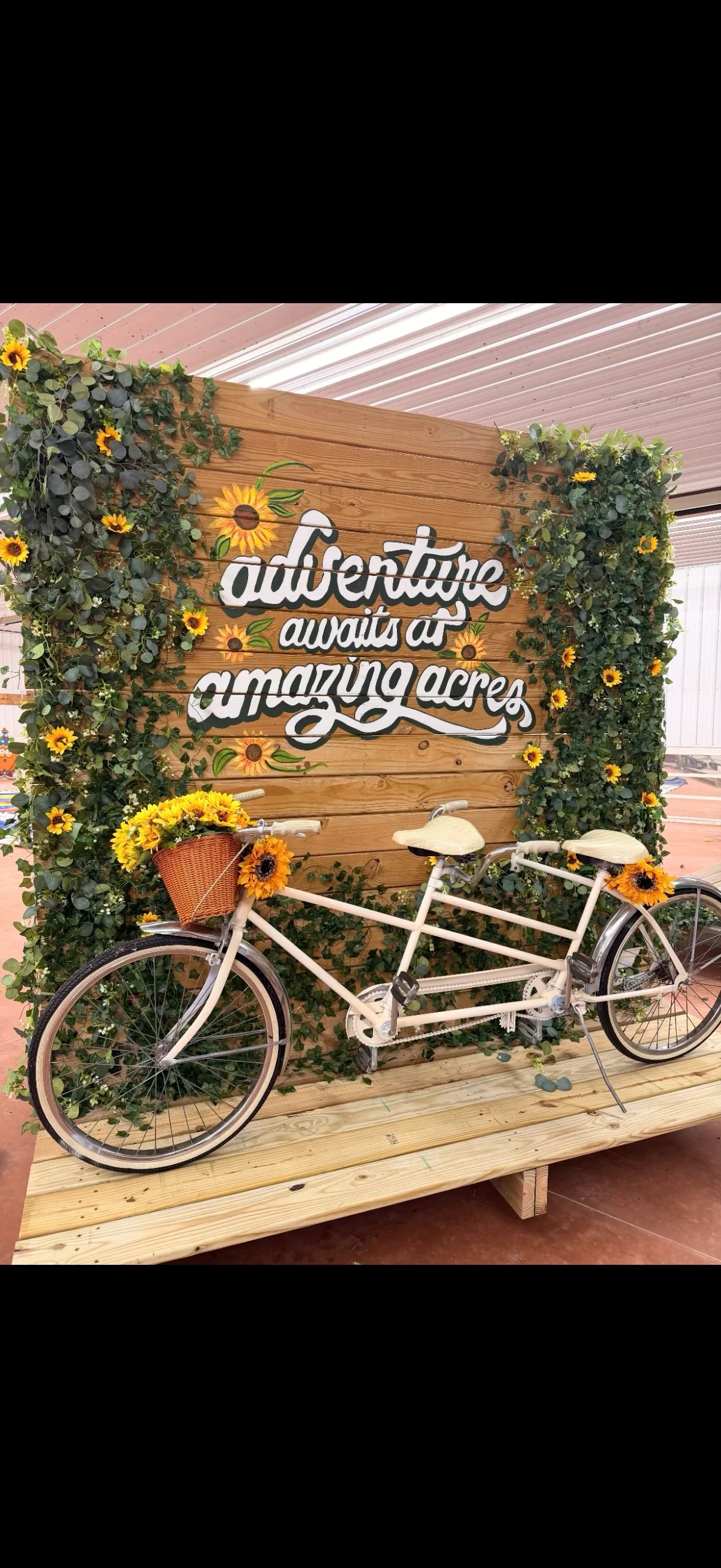 Photo Op- adventure awaits
