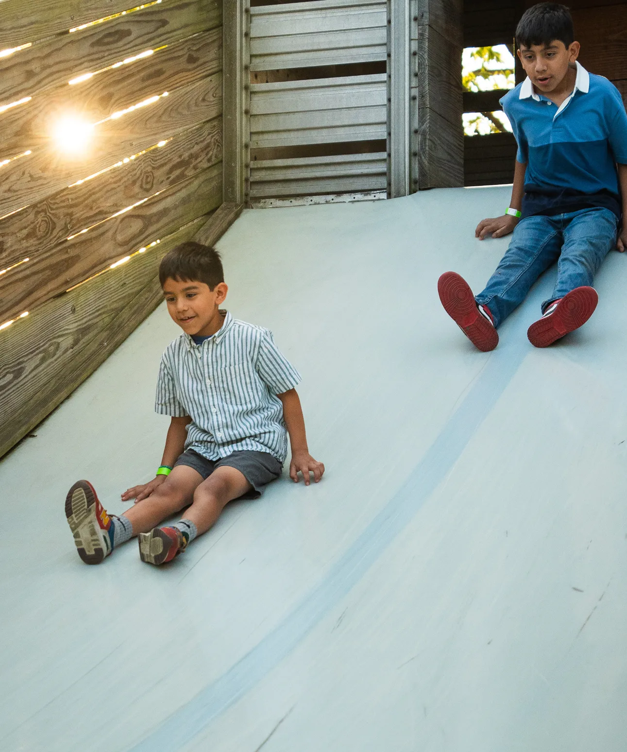 Texas Longhorn Maze & Slide