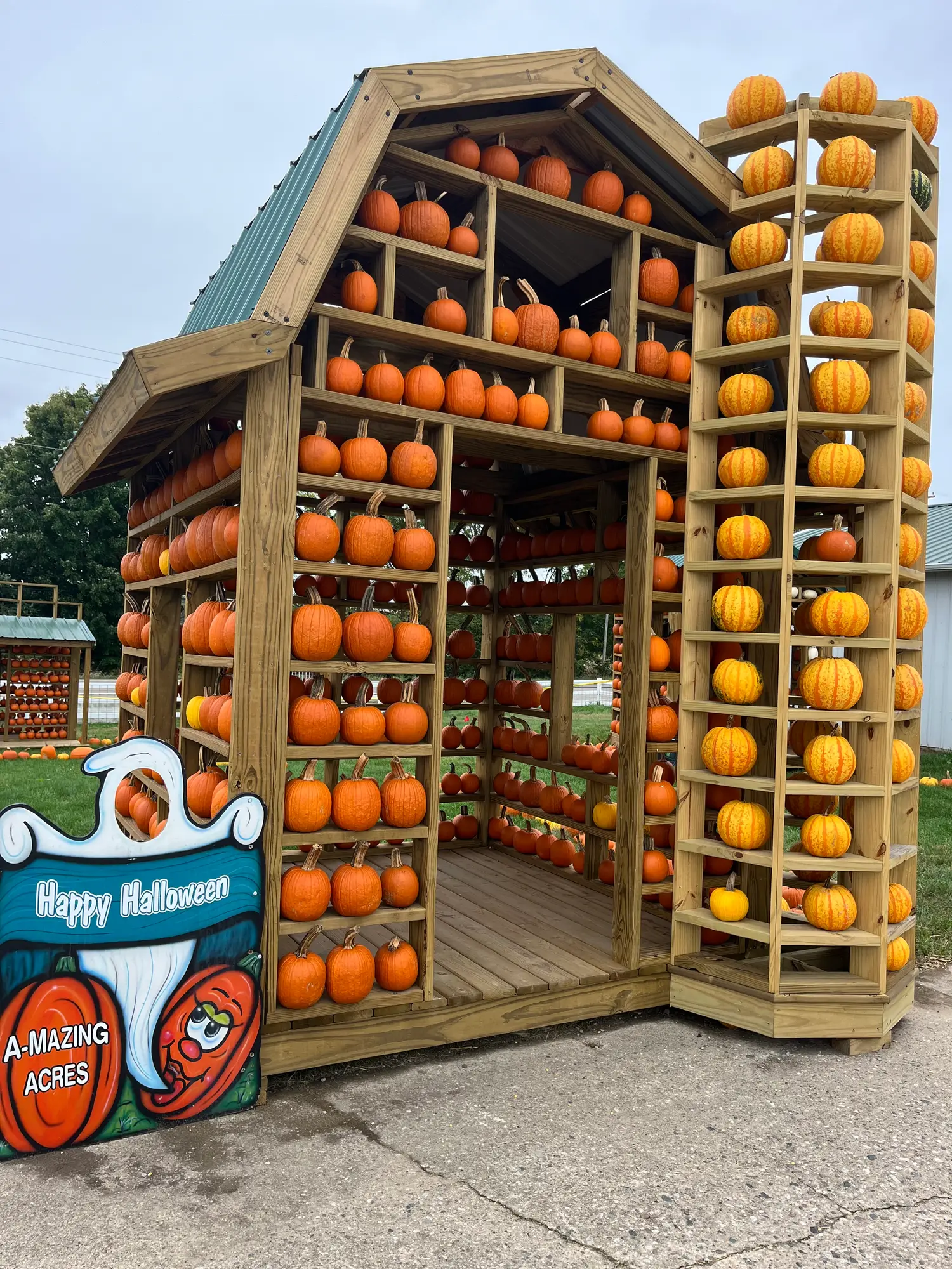 Pumpkin Town