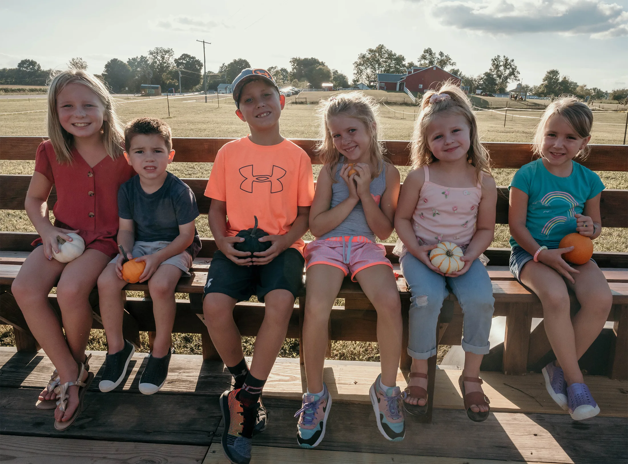 Students on a field trip at the farm
