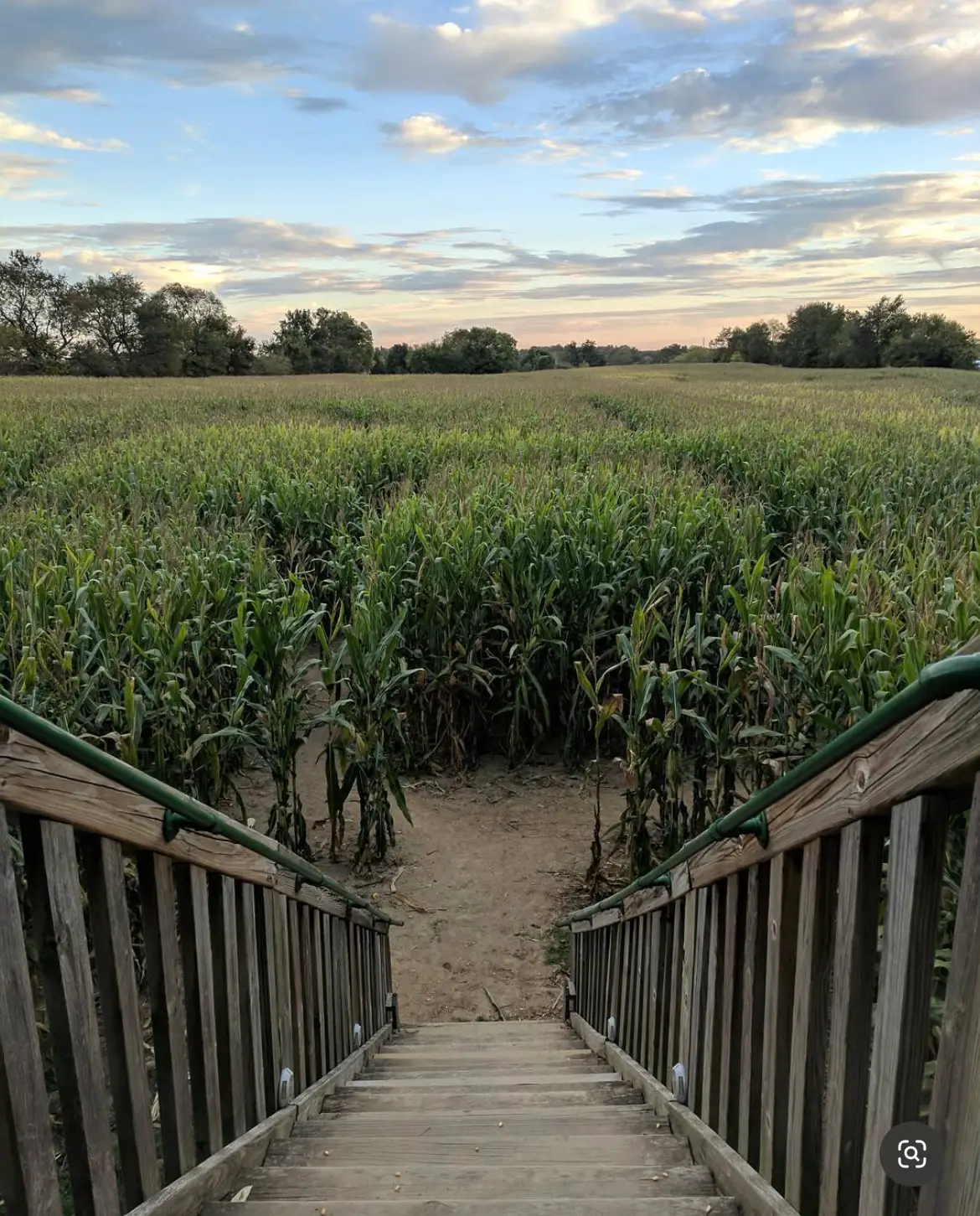 Two Corn Mazes