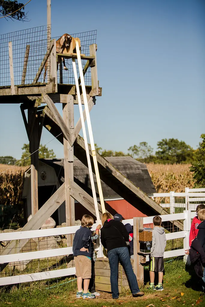 Pulley System